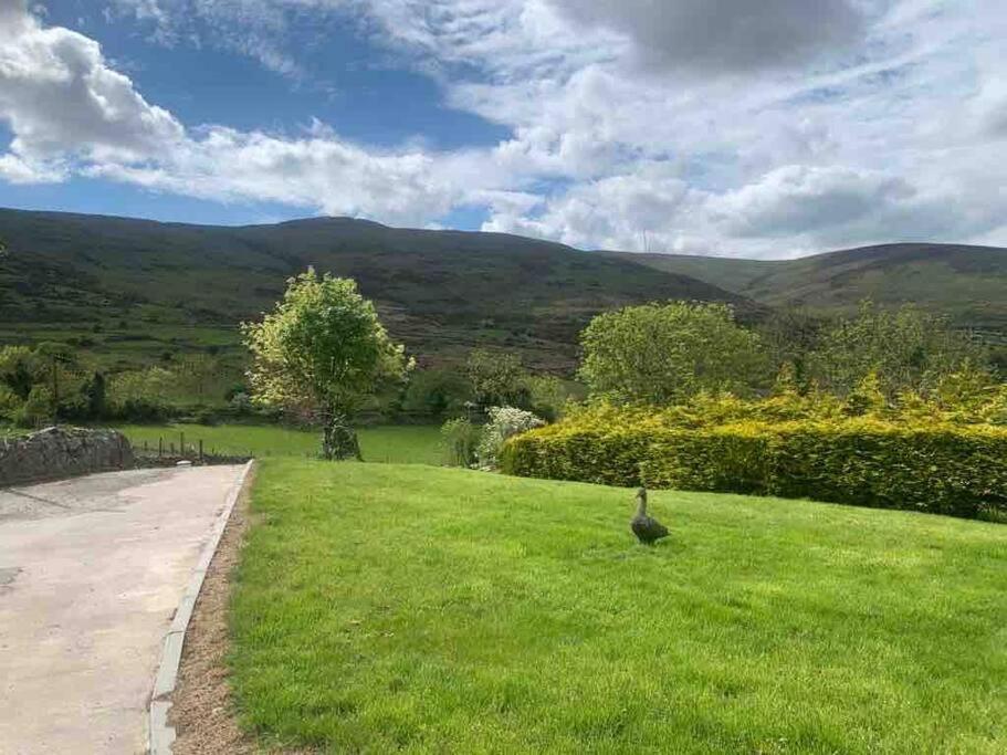 O MeithMountain House Omeath Near Carlingford别墅 外观 照片