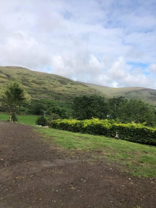 O MeithMountain House Omeath Near Carlingford别墅 外观 照片